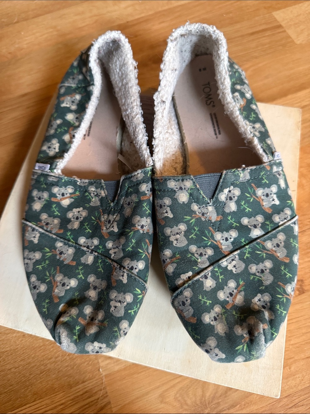 TOMS Women’s 8 Green Koala Canvas Slip-On Shoes